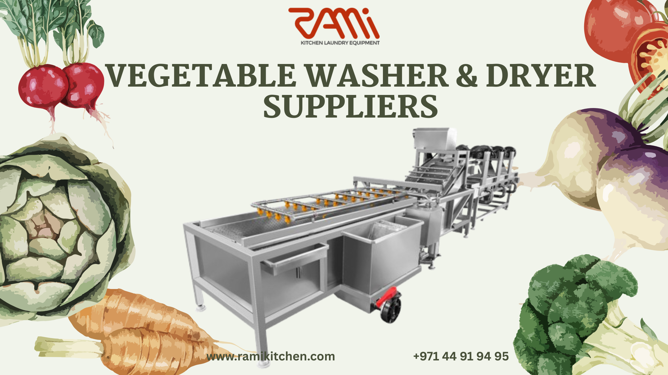 Why Choosing the Right Vegetable Washer & Dryer Suppliers Matters More than You Think?